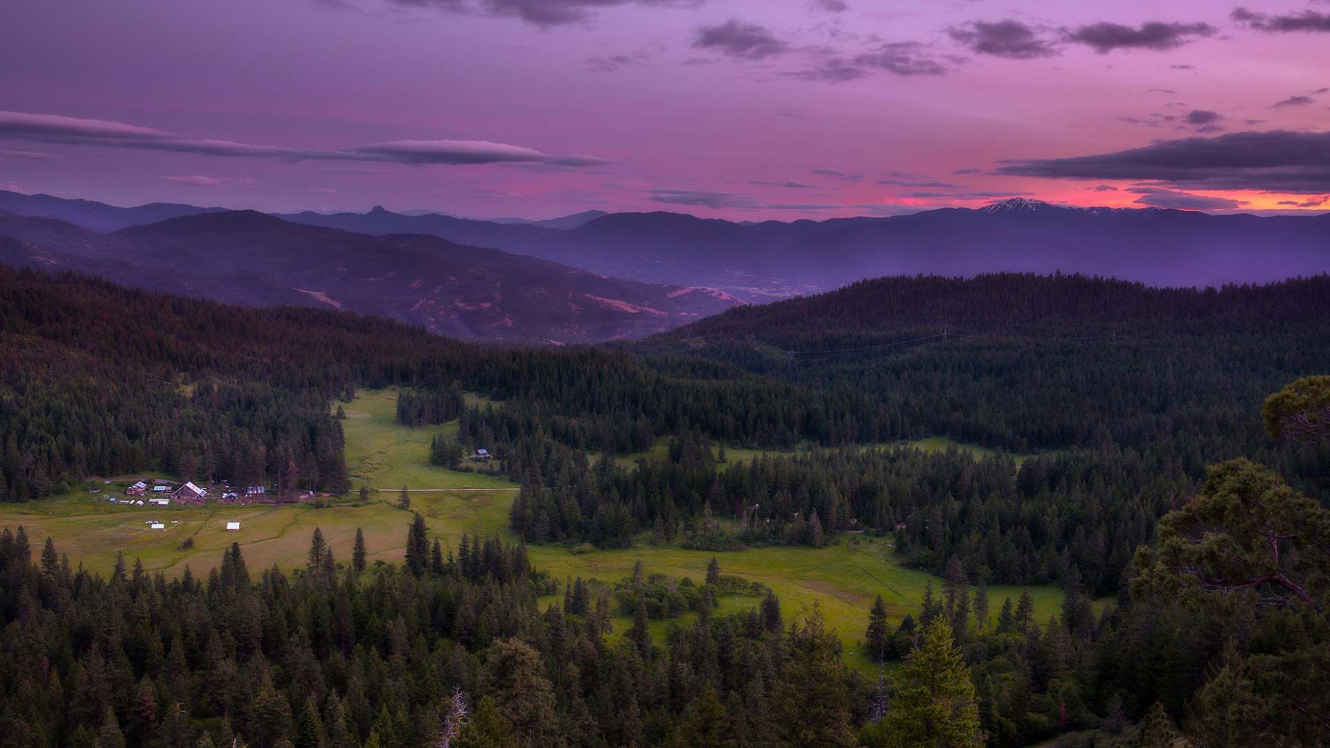 Willow-Witt Ranch in spring with alpine goats