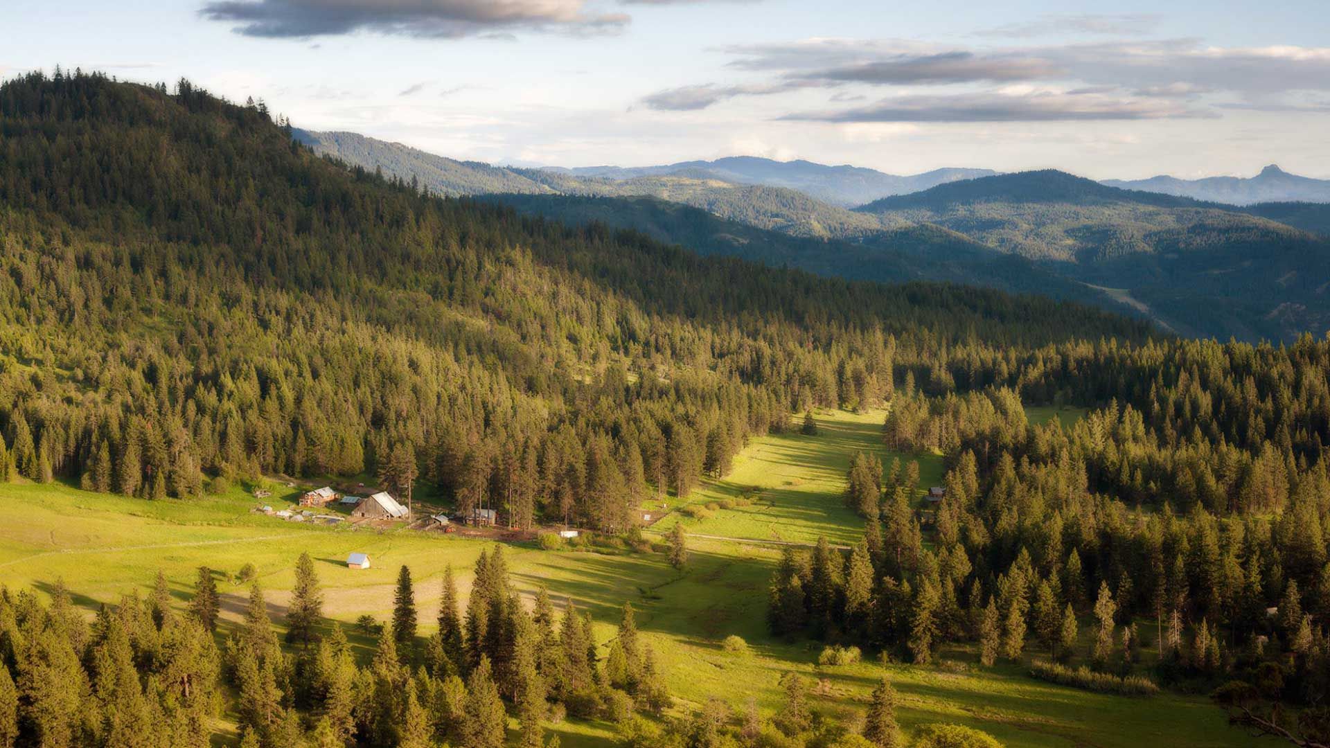 Willow-Witt Ranch in spring with alpine goats