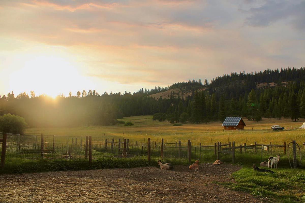 weddings at Willow-Witt Ranch