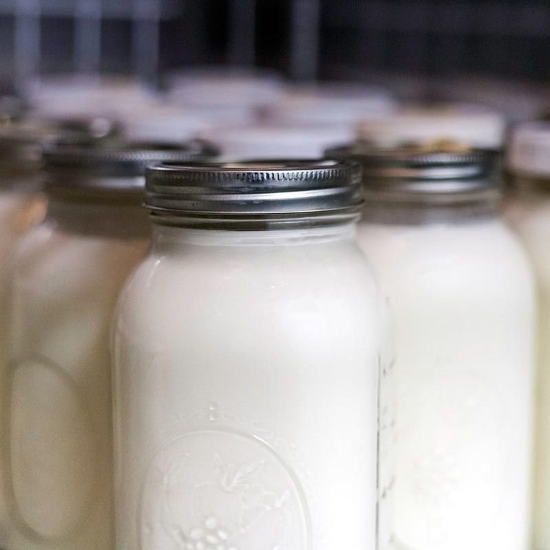 farm fresh goat milk