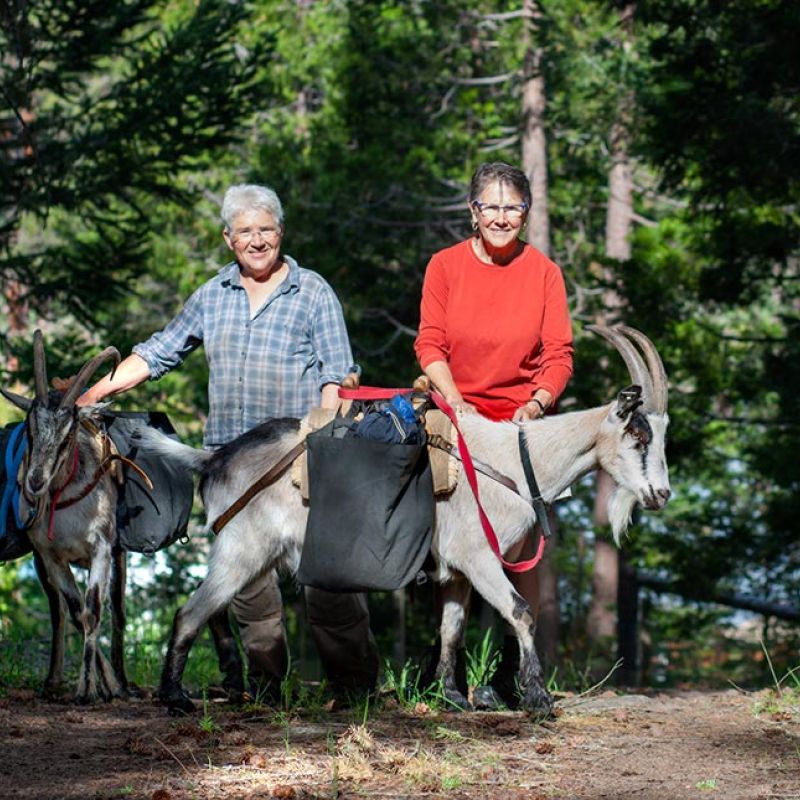 Lanita and Suzanne on hike with pack goats