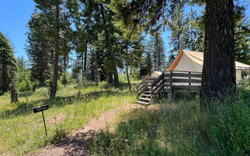 Campground footpath to Wren wall tent