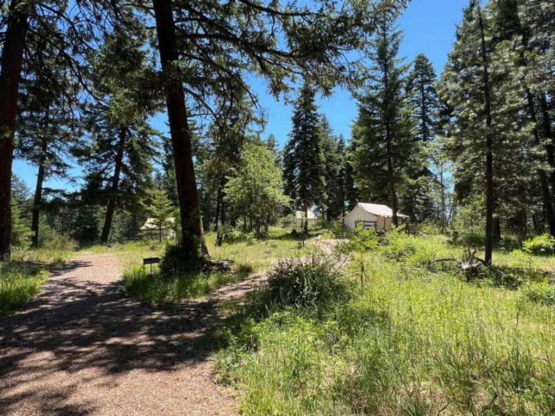 path through the wooded campground