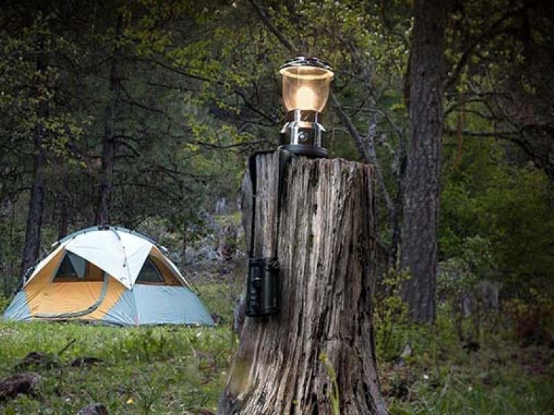 tent site in the trees at The Camps at Willow-Witt RAnch