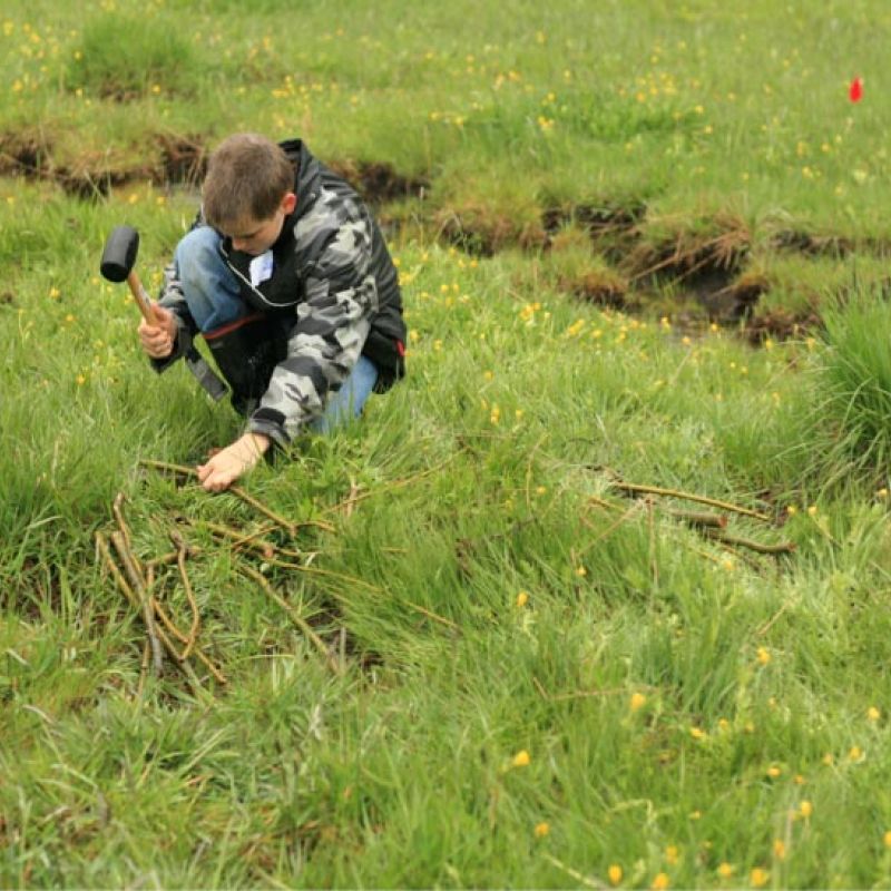 student helps plant native willows beside stream
