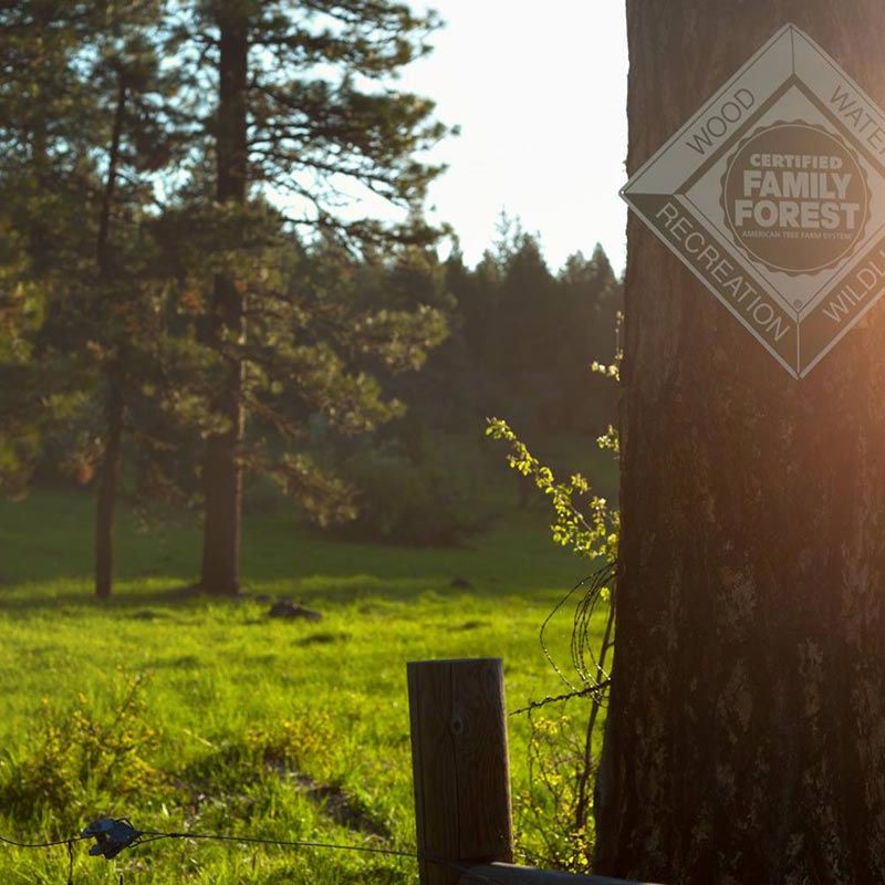 Certified Family Forest sign posted on tree