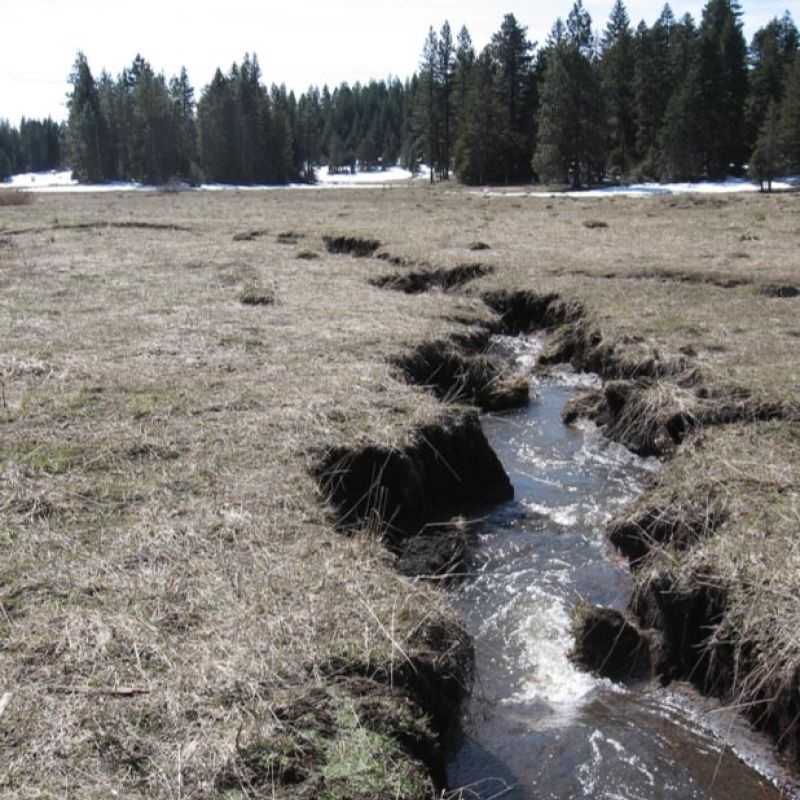 before stream and wetlands restoration